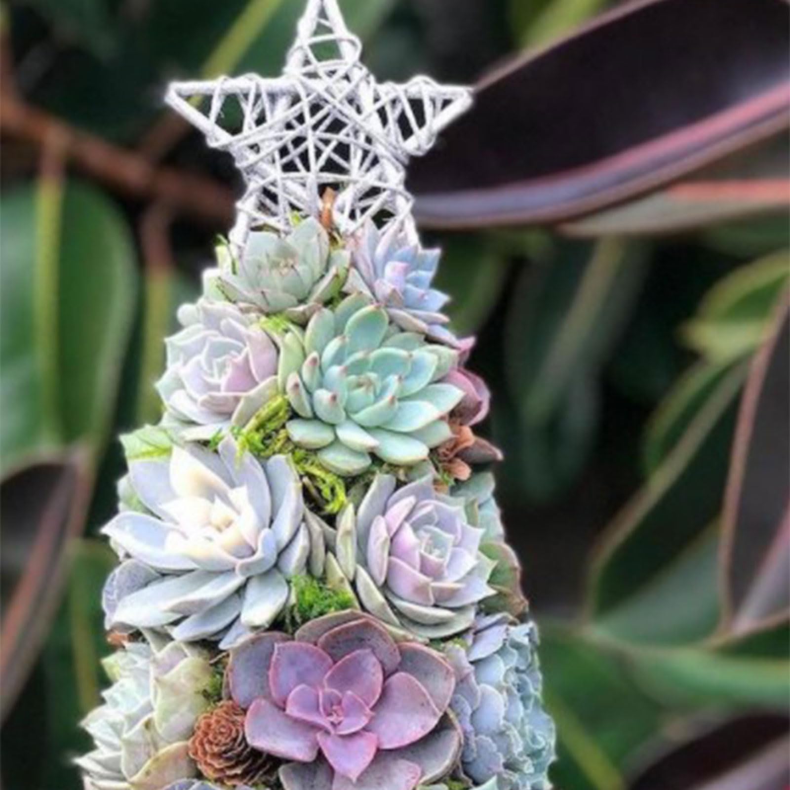 多肉植物ツリー