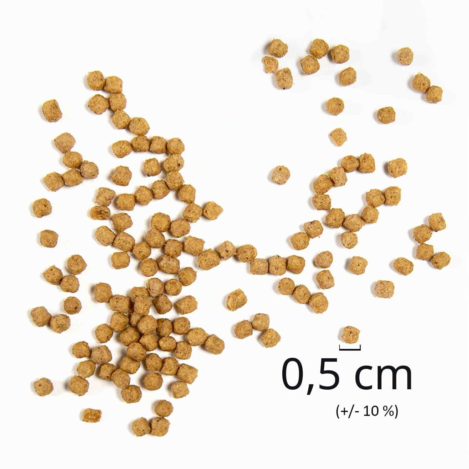Psittacus Mini 3 kg | Mangime completo per ninfe, cotorre e cacatua | Alimento Premium per uccelli | 100% non-GMO