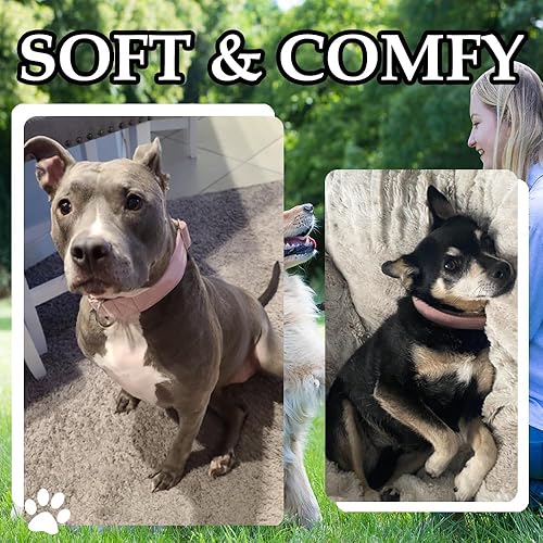 Miniatura 5 de Collar de terciopelo para perro, collar suave para perros pequeños, medianos y grandes