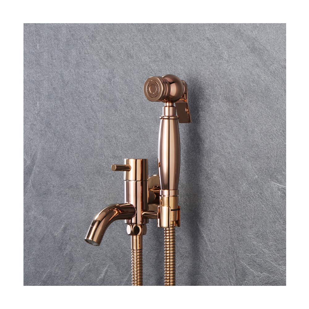 Spruzzatore per bidet con acqua fredda, in ottone, per bagno, doccia, bidet, montaggio a parete, 2 funzioni, portatile, set per vasca da bagno per animali domestici, igiene personale