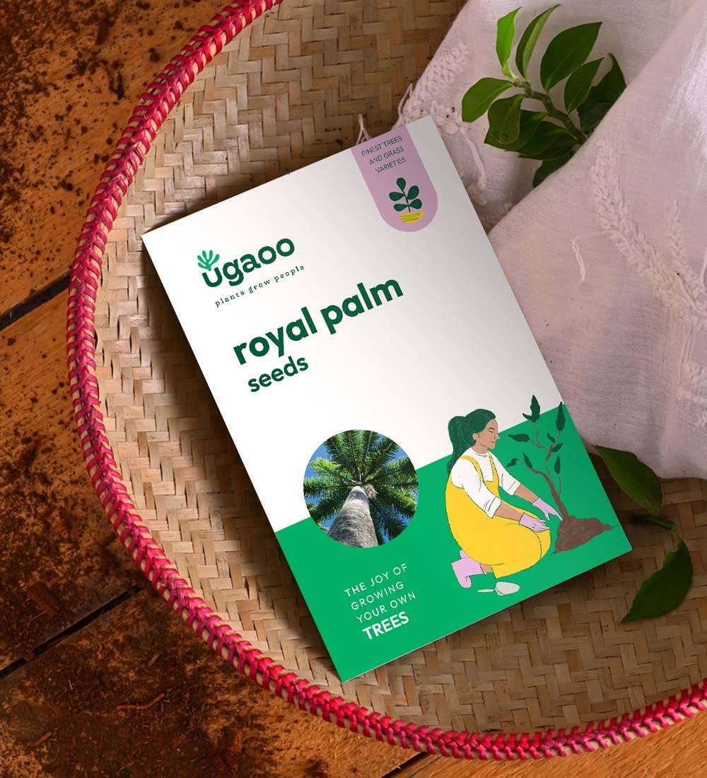UGAOO Royal Palm Seeds - 100 g (B0CH3HXFXQ) Amazon Price History, Amazon Price Tracker