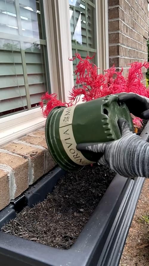 Tasha Kaleidoscope Living's Amazon Page