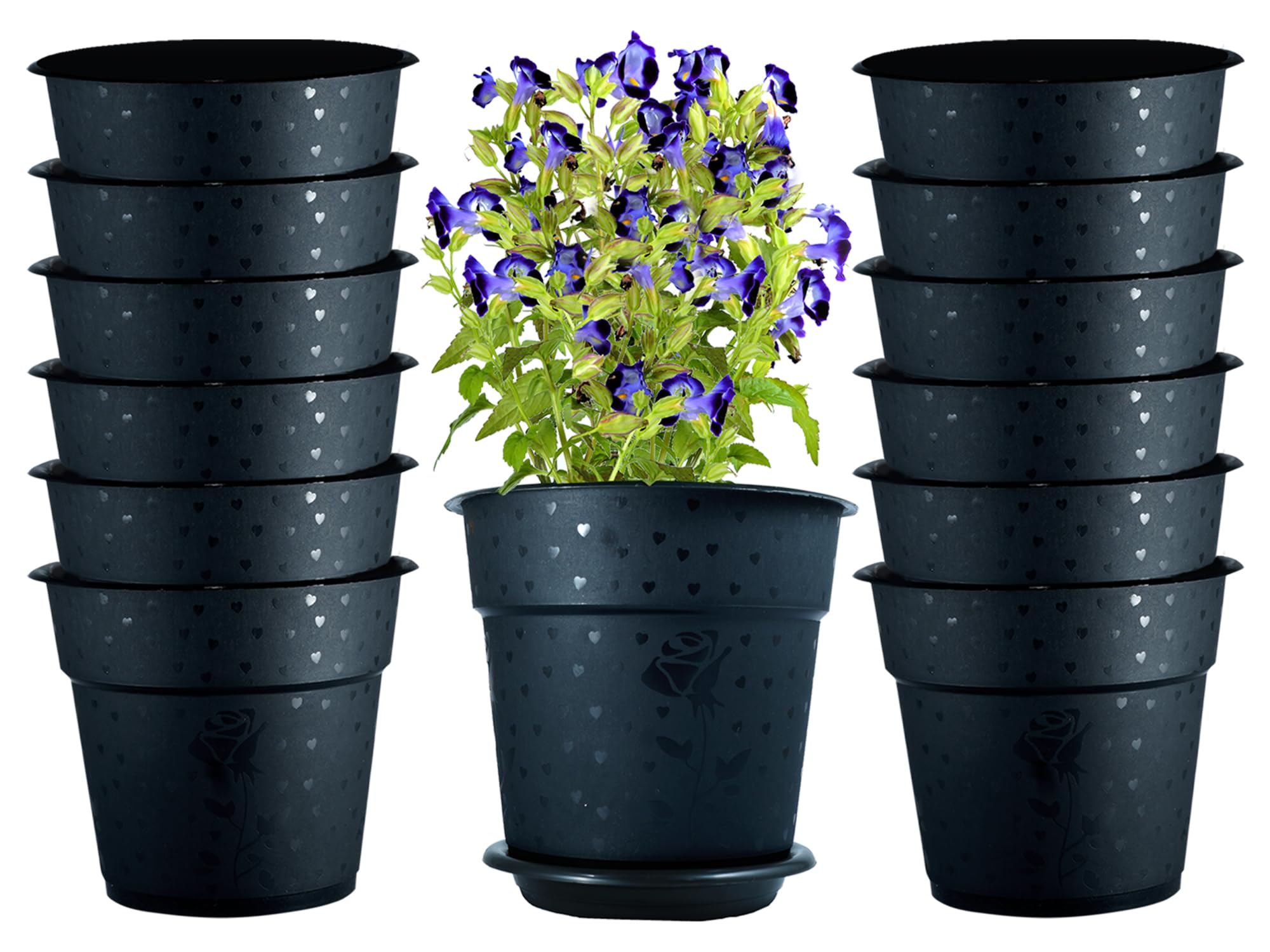 See full amazon price history chart for DOAP Small Flower Pots 6.6 Inch with Tray for Home Indoor & Outdoor Garden, Black, 5pcs (Black, 5) DOAP Small Flower Pots 6.6 Inch with Tray for Home Indoor & Outdoor Garden, Black, 5pcs (Black, 5) (B09JM6F2JR) Amazon Price History, Amazon Price Tracker