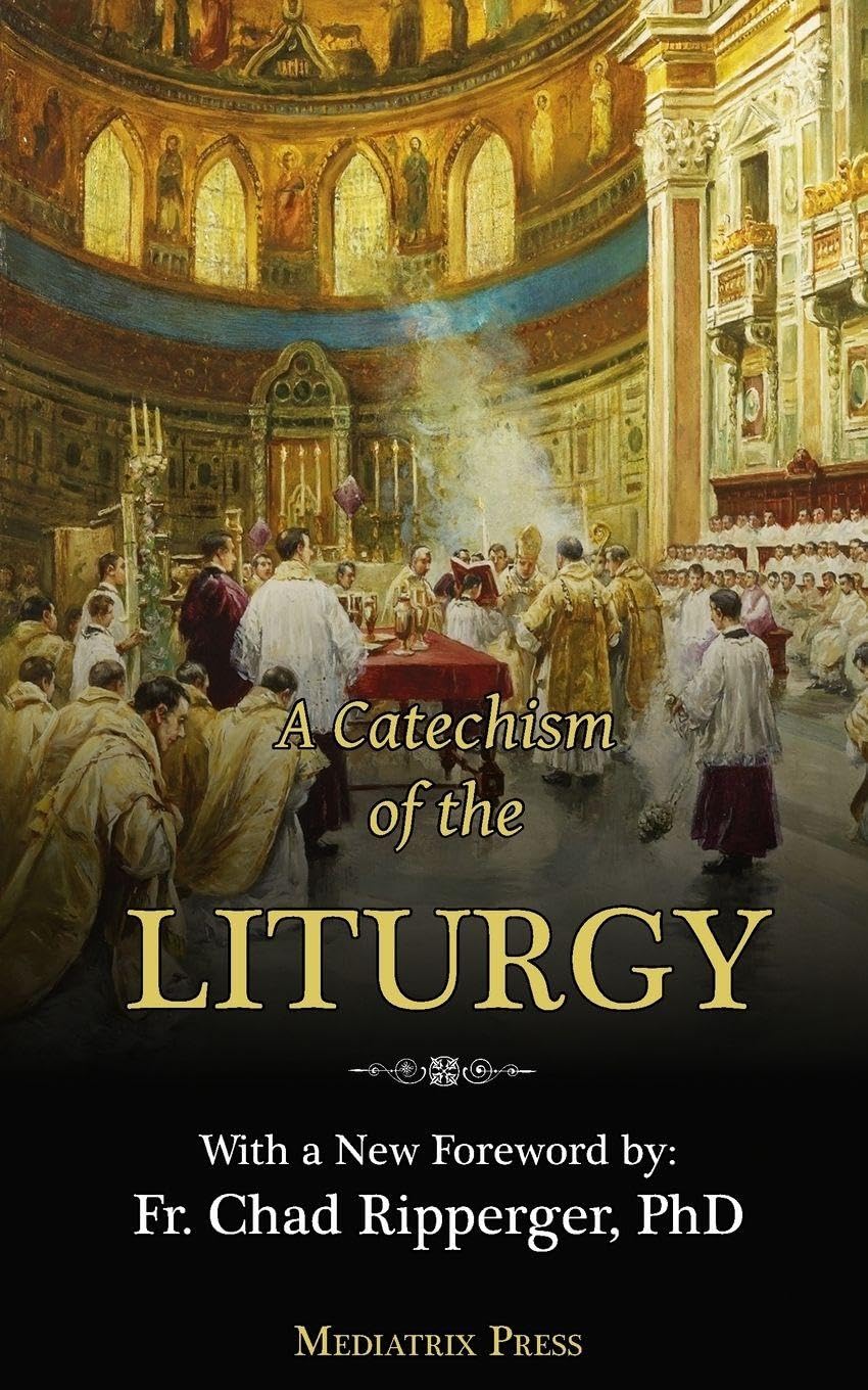 The Month of the Holy Souls: Practical Meditations for Each Day of the Month of November: For use with the Traditional Latin Mass