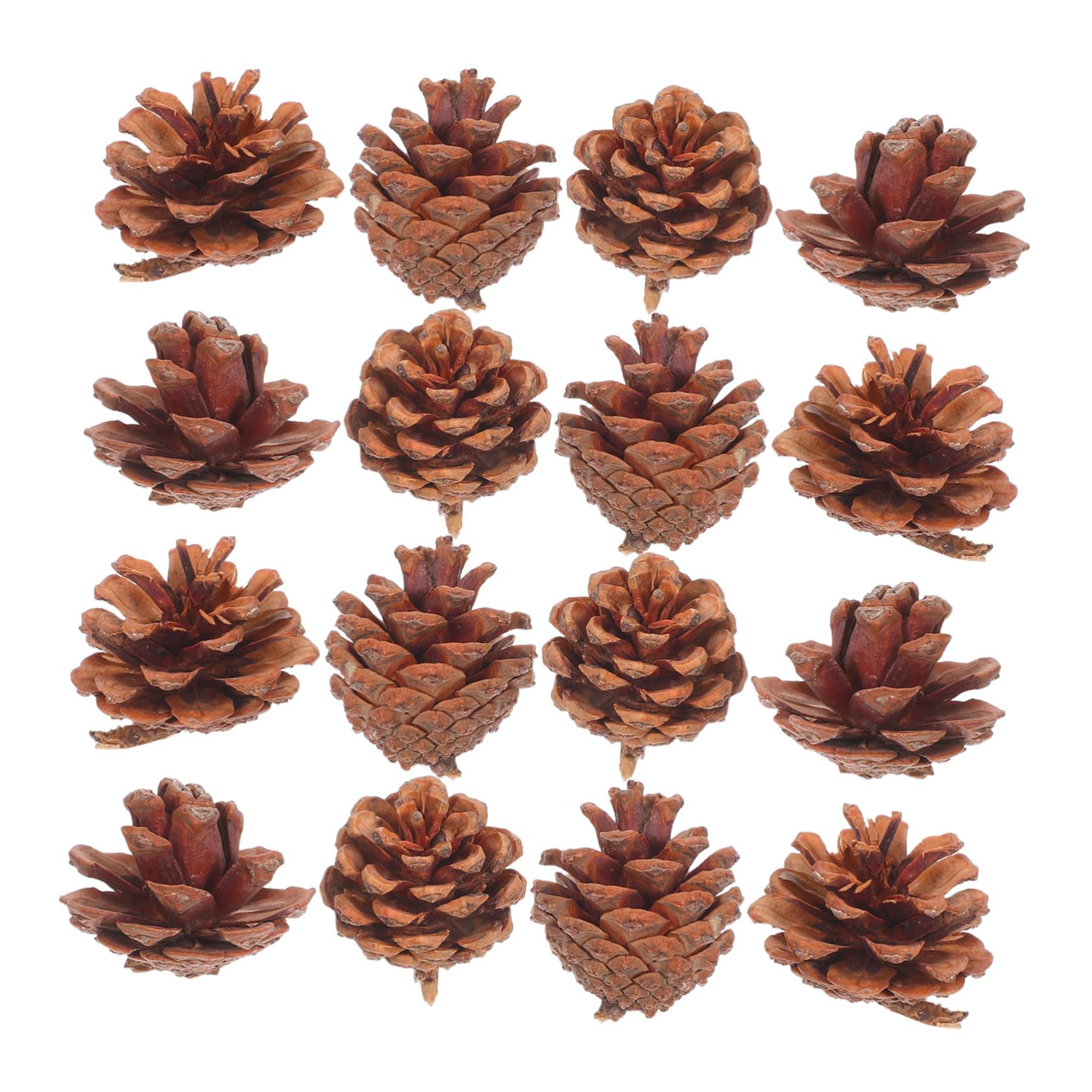Mini Pommes de Pin Naturelles pour Décoration Table Automne et Noël