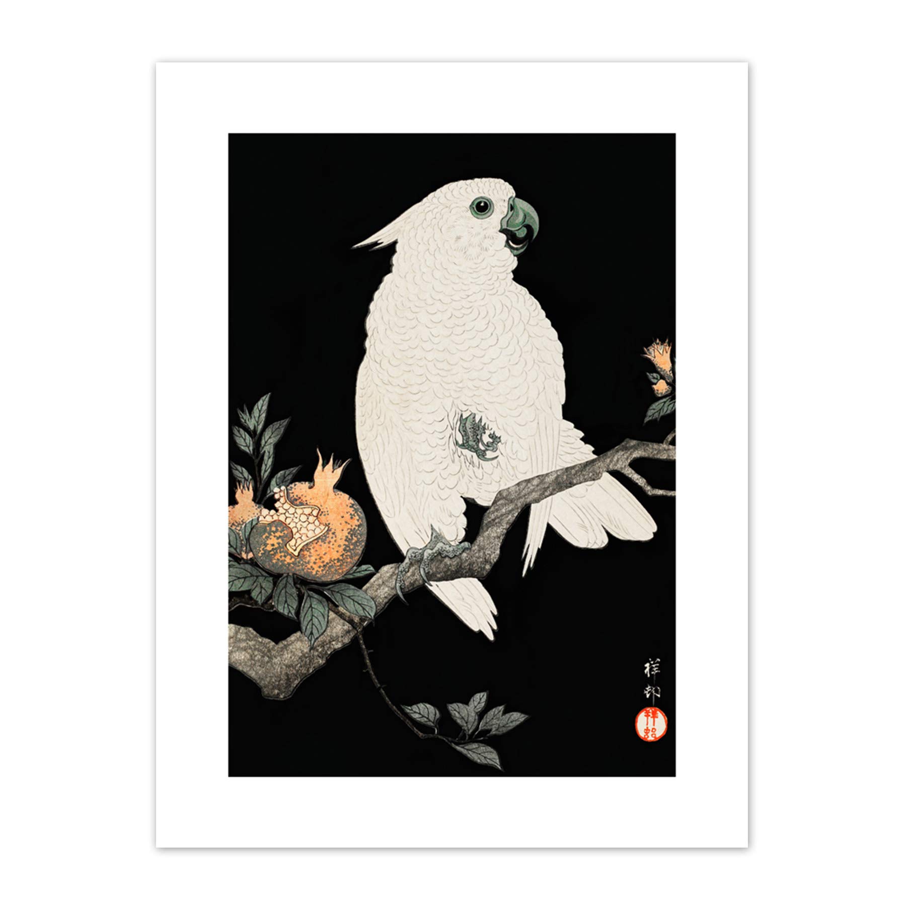 Wee Blue Coo Cockatoo Pomegranate Ohara Koson Art Print Canvas Premium Wall Decor Poster