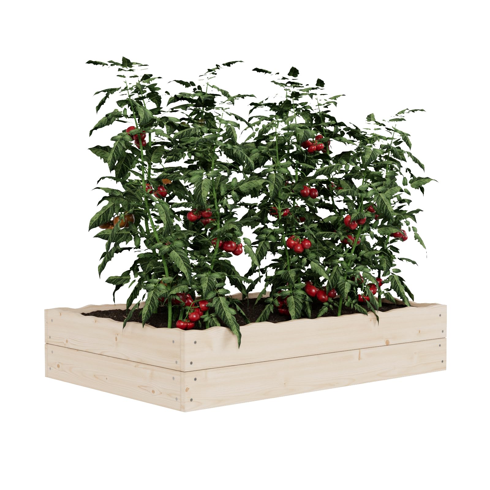 QLS Orto rialzato in pino naturale 120x80x24 cm