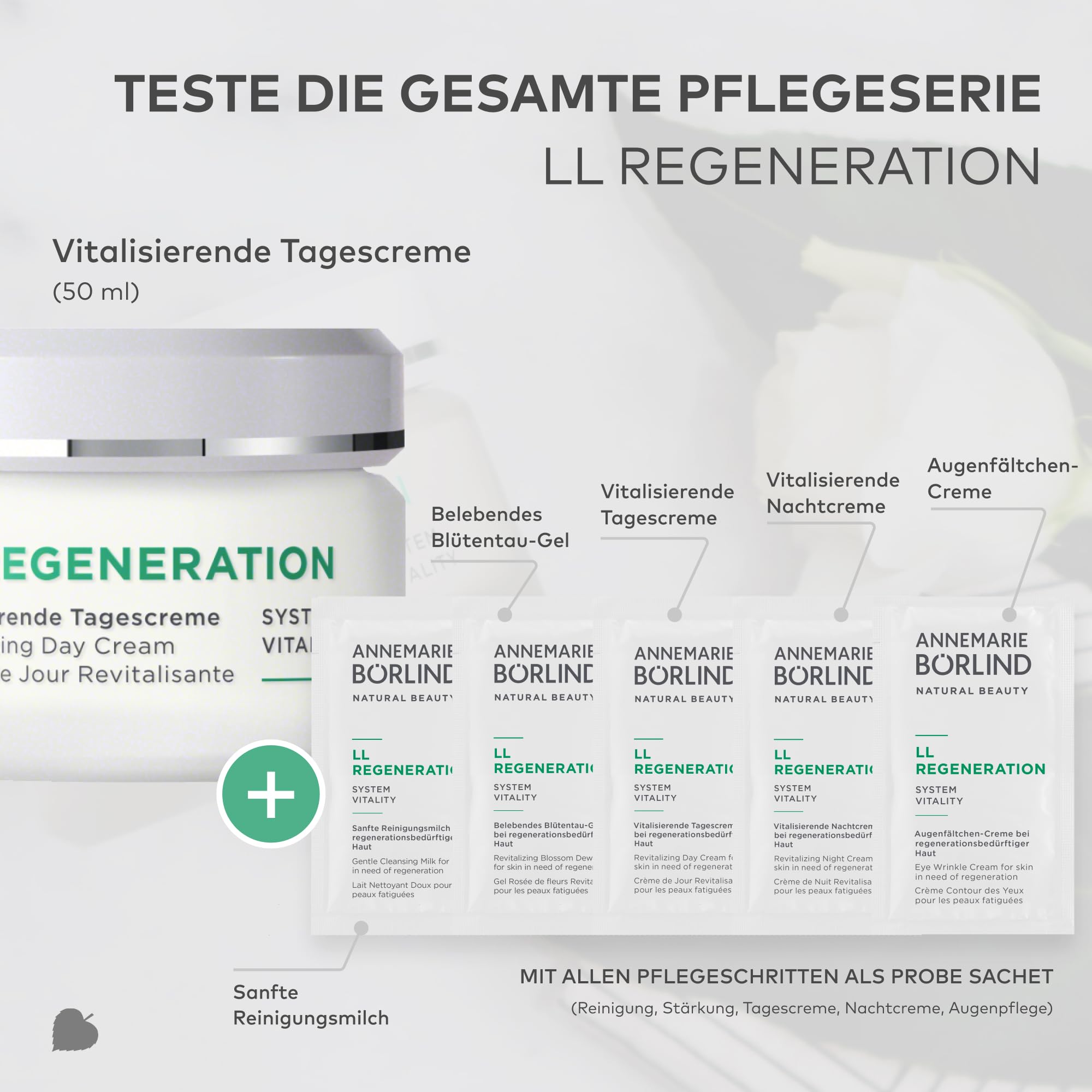 ANNEMARIE BÖRLIND LL REGENERATION Vitalisierende Tagescreme (50ml) + Gratis Probe Sachets (die gesamte Pflegeroutine) - Sheabutter & LL-Biokomplex für Zellerneuerung, Gesichtscreme Damen