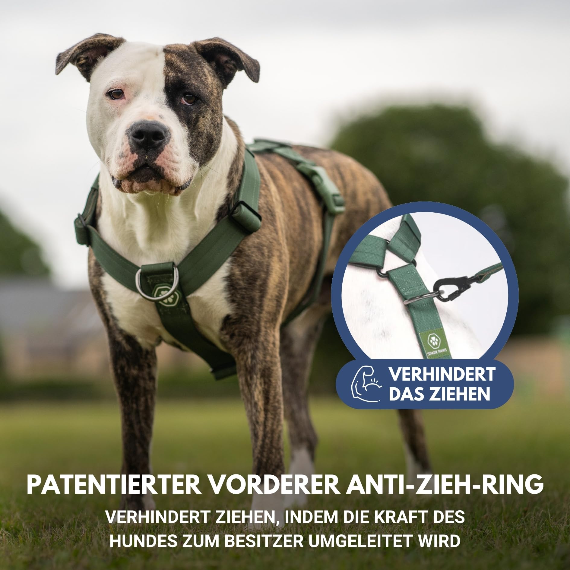 Spark Paws No Pull Hundegeschirr Grosse Hunde, Halterdesign mit Frontclip, Y Geschirr Hund, Robust und Strapazierfähig Harness für Große und Starke Rassen - Green, S