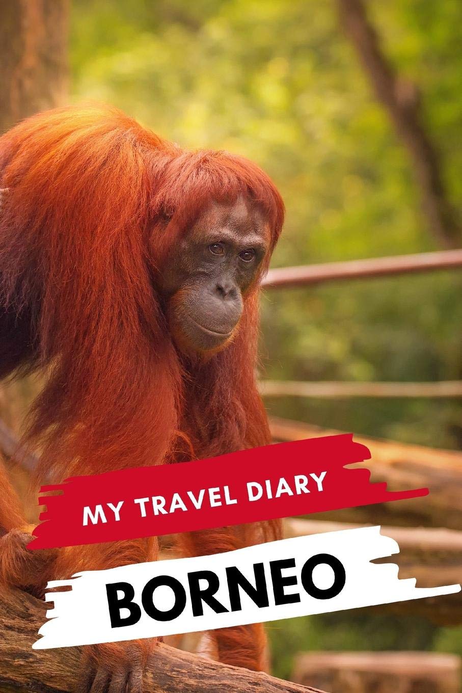 My Travel Diary BORNEO: Creative Travel Diary, Itinerary and Budget Planner, Trip Activity Diary And Scrapbook To Write, Draw And Stick-In Memories and Adventure Log for holidays in Borneo