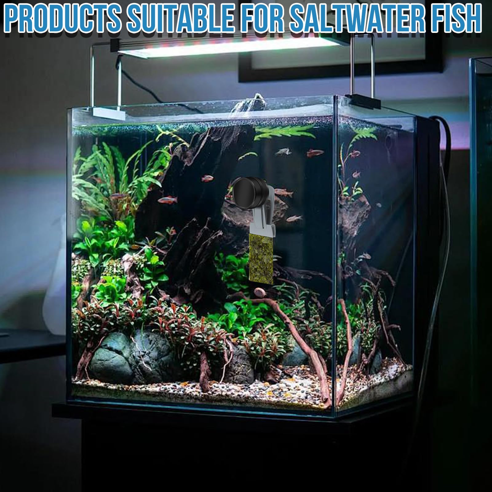 Mangiatoia per pesci rossi, accessori per acquari marini, magnete per alghe, mangiatoia per alghe marine, clip magnetiche, anello di alimentazione per acquari adatto per pesce animali acquatici