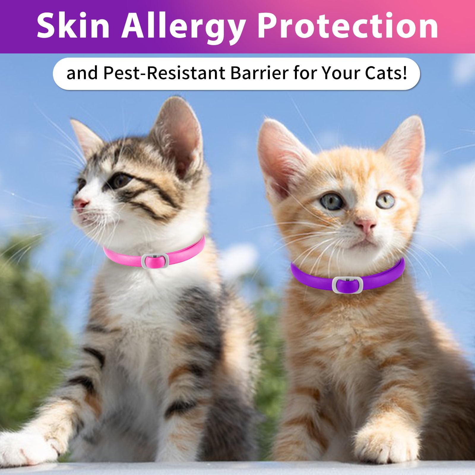 Collare Antiparassitario per Gatti, Collare Antipulci Gatto - 24 Mesi di Protezione Effettiva (4 Pezzi) (Viola + Rosa, 4 Pezzi)