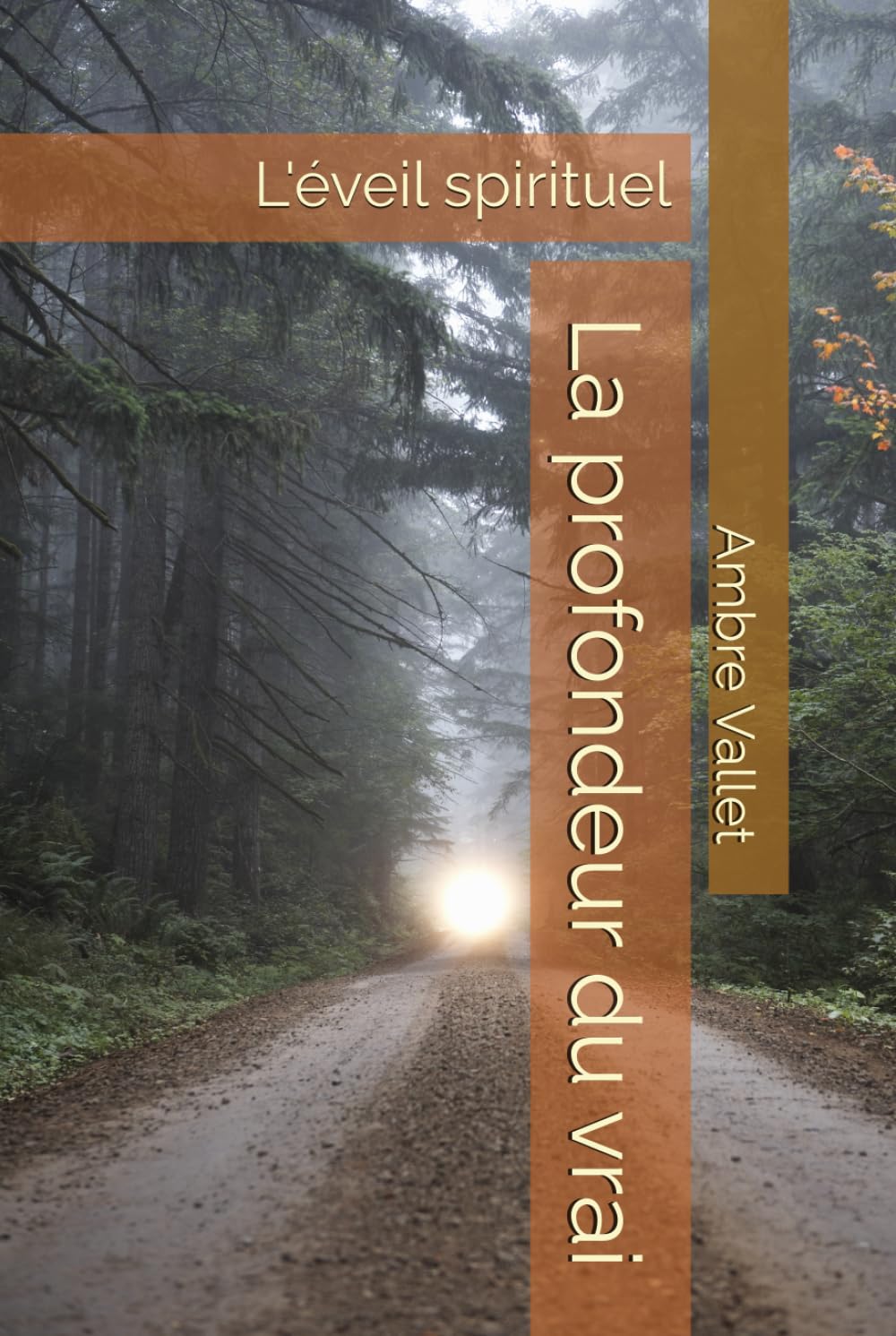 La profondeur du vrai: L'éveil spirituel
