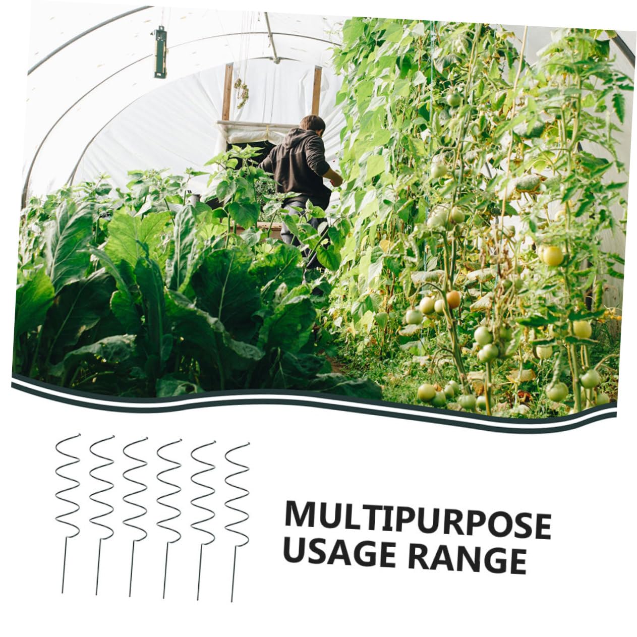 ibasenice Tuteur Spiralé de Support pour Plantes, Lot de 8 en Fer