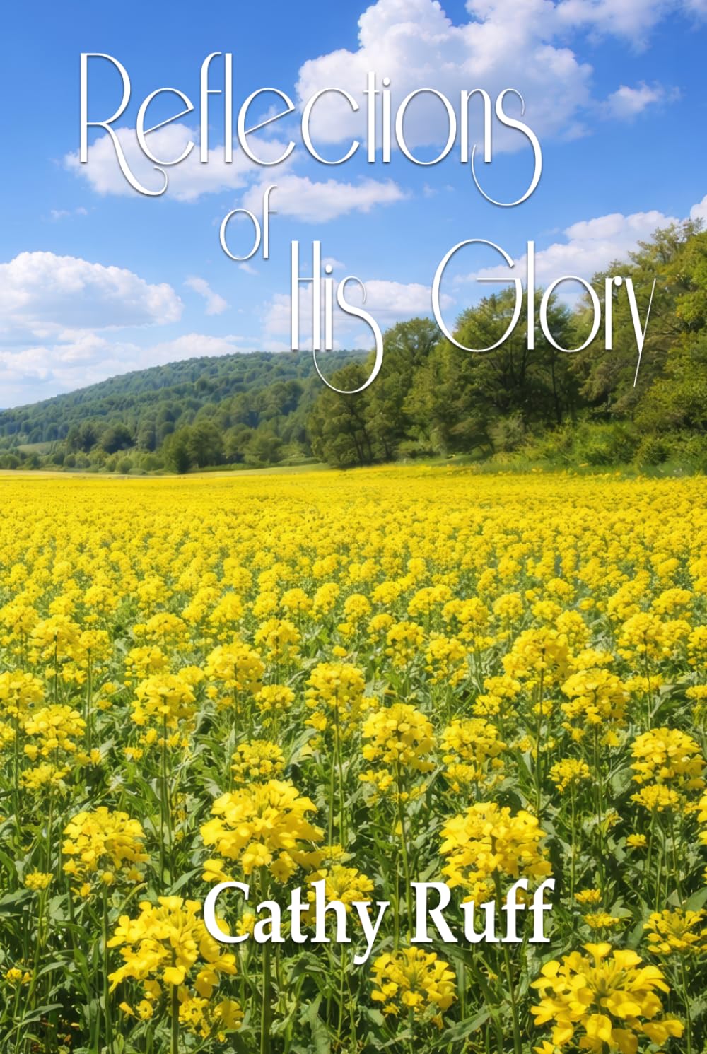 Reflections of His Glory: a Collection of Poems