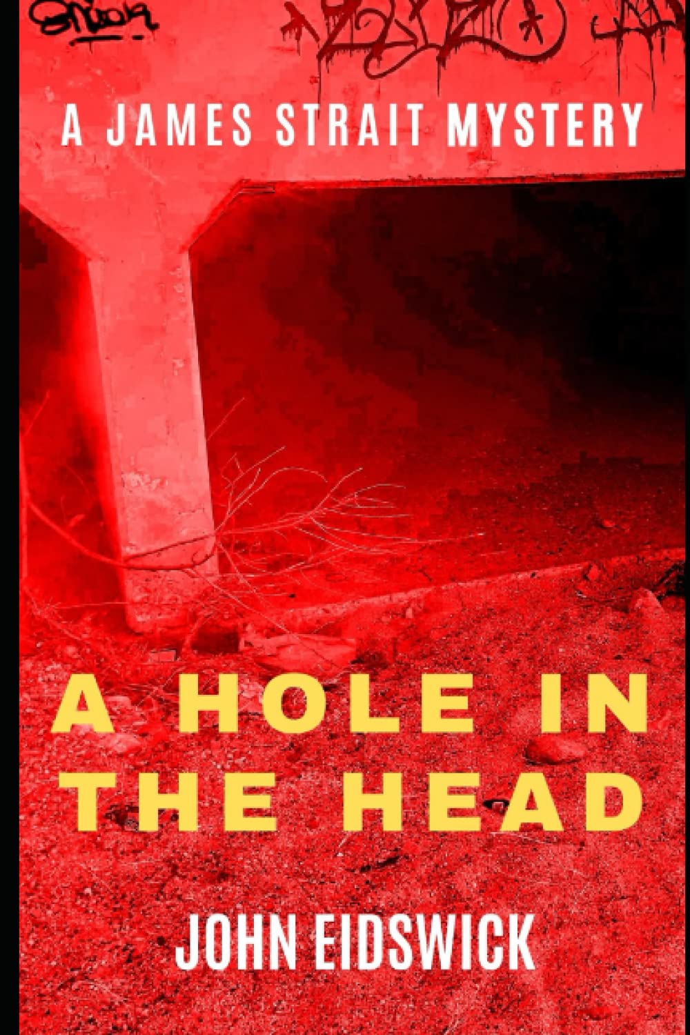 Amazon | A Hole in the Head (James Strait mysteries) | Eidswick