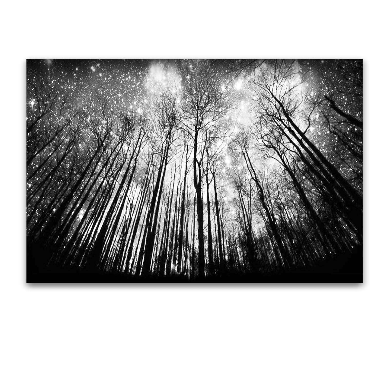 Startonight Quadro su Tela Bianco e Nero Inserisci la Notte, Stampe Incorniciato e Pronta da Appendere Design Moderno Arredamento Arte Fotografia Grande Formato 80 x 120 cm Luminoso al Buio