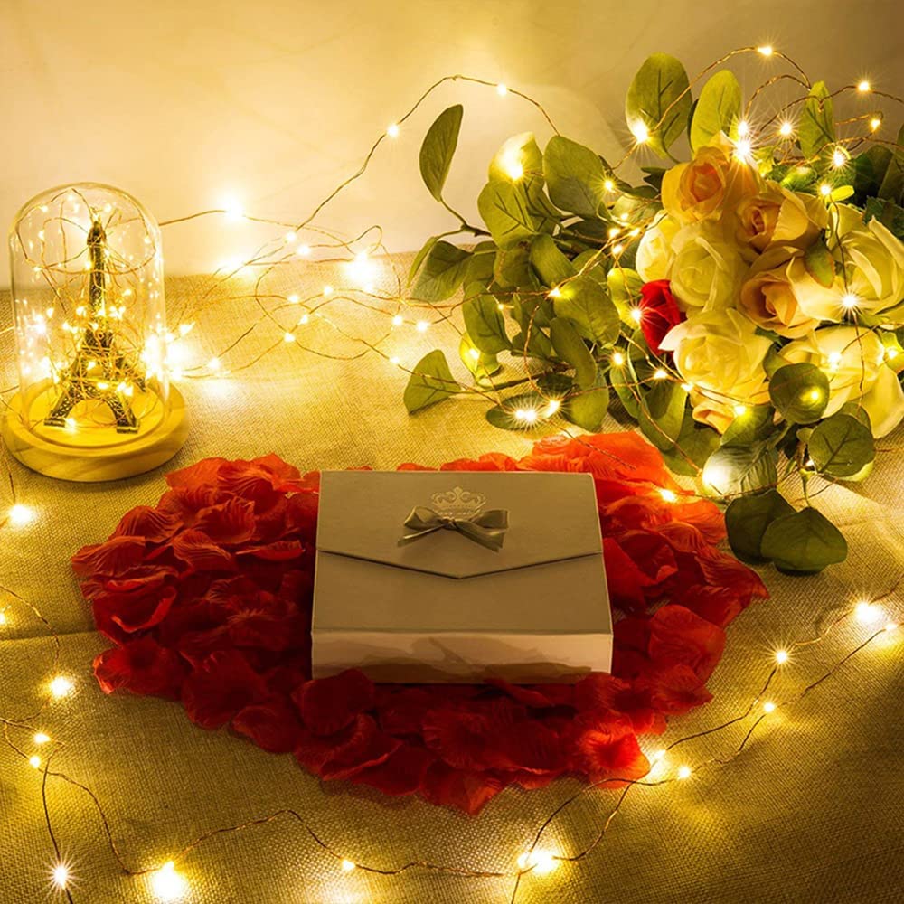 EHWINE - Juego de 24 luces LED de hadas para dormitorio, 7 pies, 20 luces LED de batería, luces de luciérnaga impermeables para decoración de bodas, fiestas, Navidad, blanco cálido