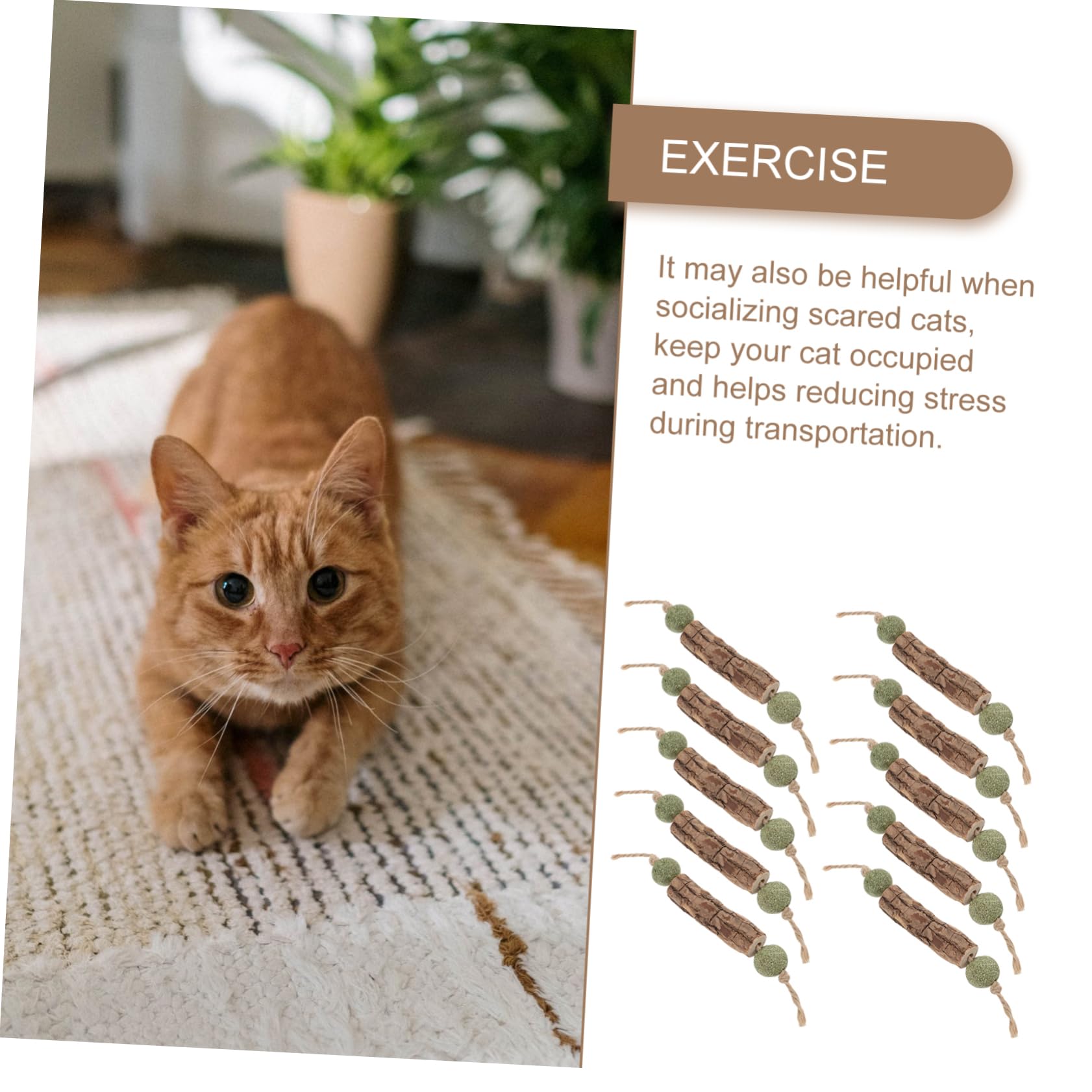 Jouets pour Chats, Lot de 10 bâtonnets à mâcher for Le Nettoyage des molaires Chats, Balle Interactive for la Dentition