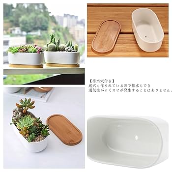 Amazon.co.jp: Facecolor 楕円形サボテン鉢 2個セット 植木鉢