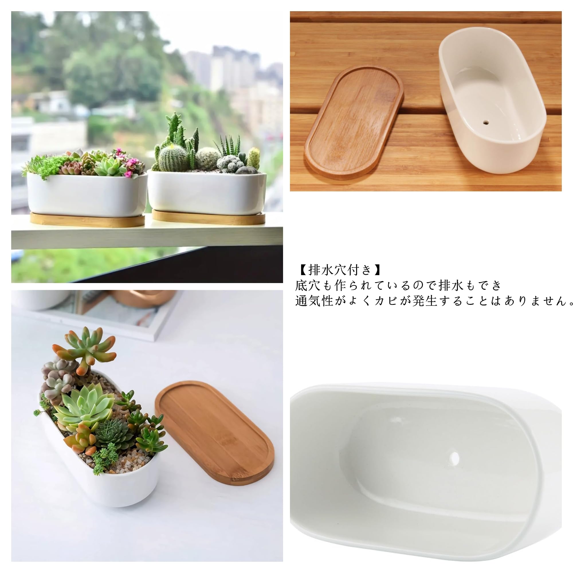 陶器鉢2個セット 植木鉢 2号」の人気商品一覧 | 安い商品を