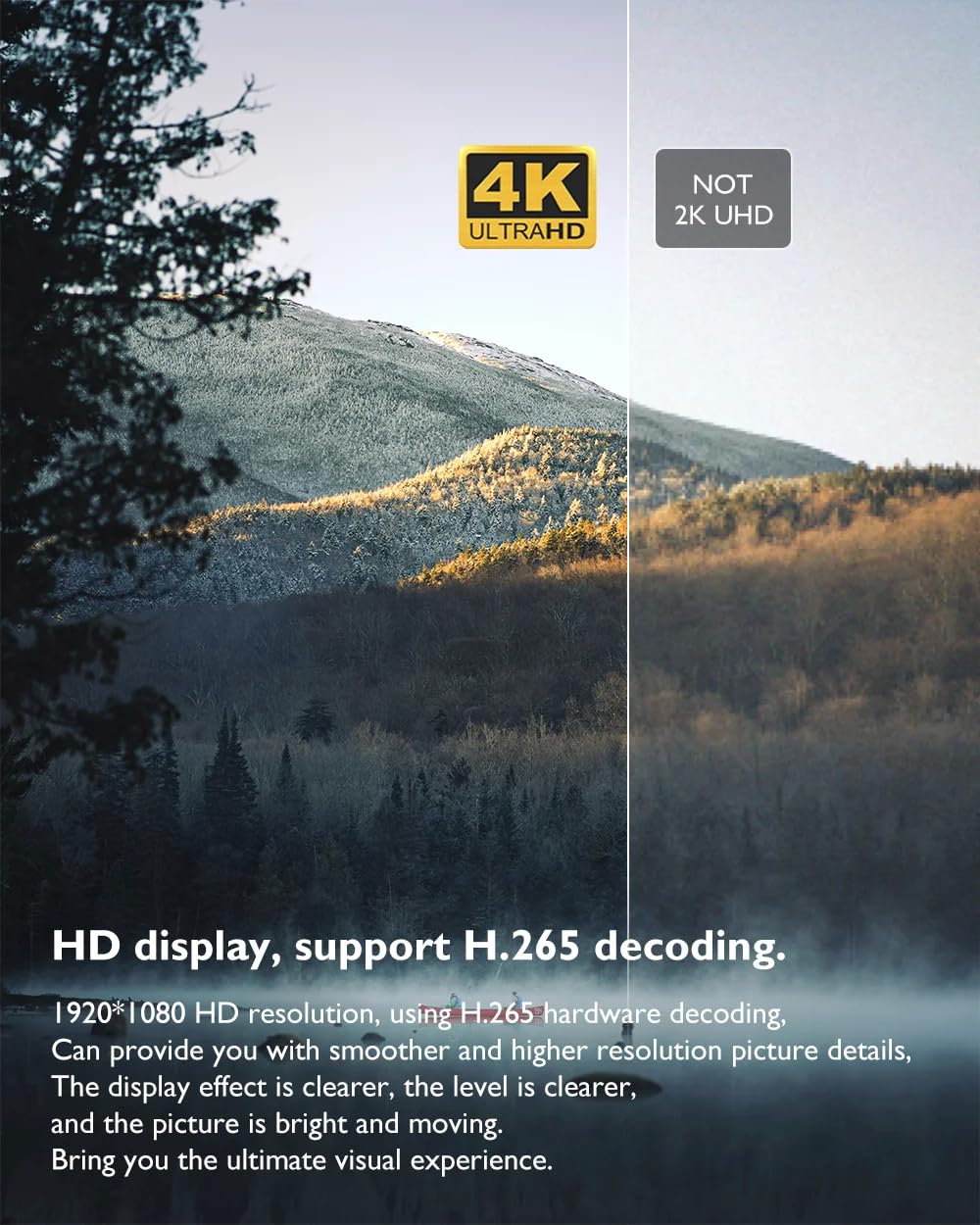 H20 2GB/16GB Décodeur Lecteur Multimédia de Diffusion en continu Android 10 Boîte TV 4K 3D HD 1080p avec Amlogic Quad-Core CPU RK3228A, WiFi,4K HD, H.265.
