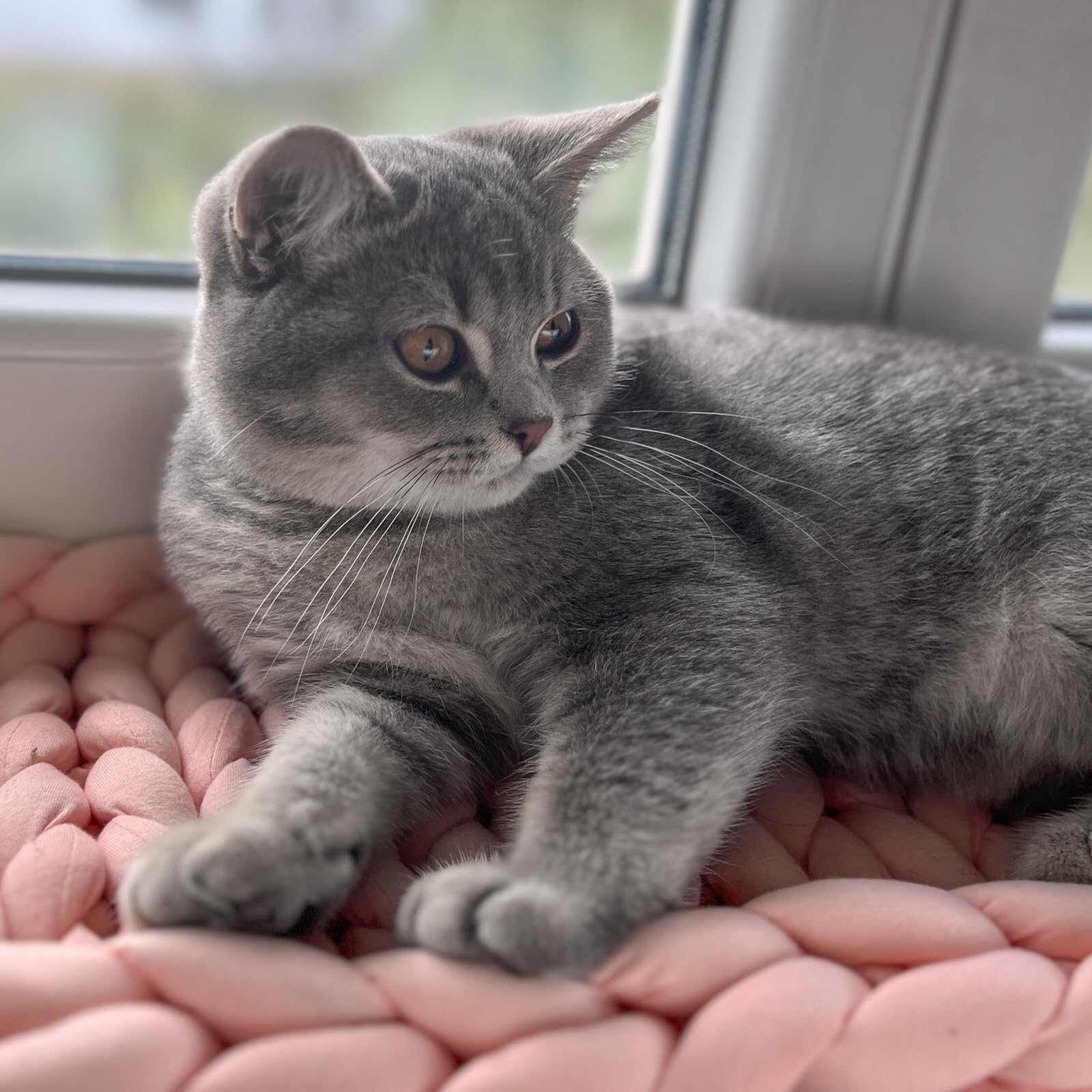 Aumüller Fensterbankliege für Katzen - Katzenbett aus Grobstrick - Rosa