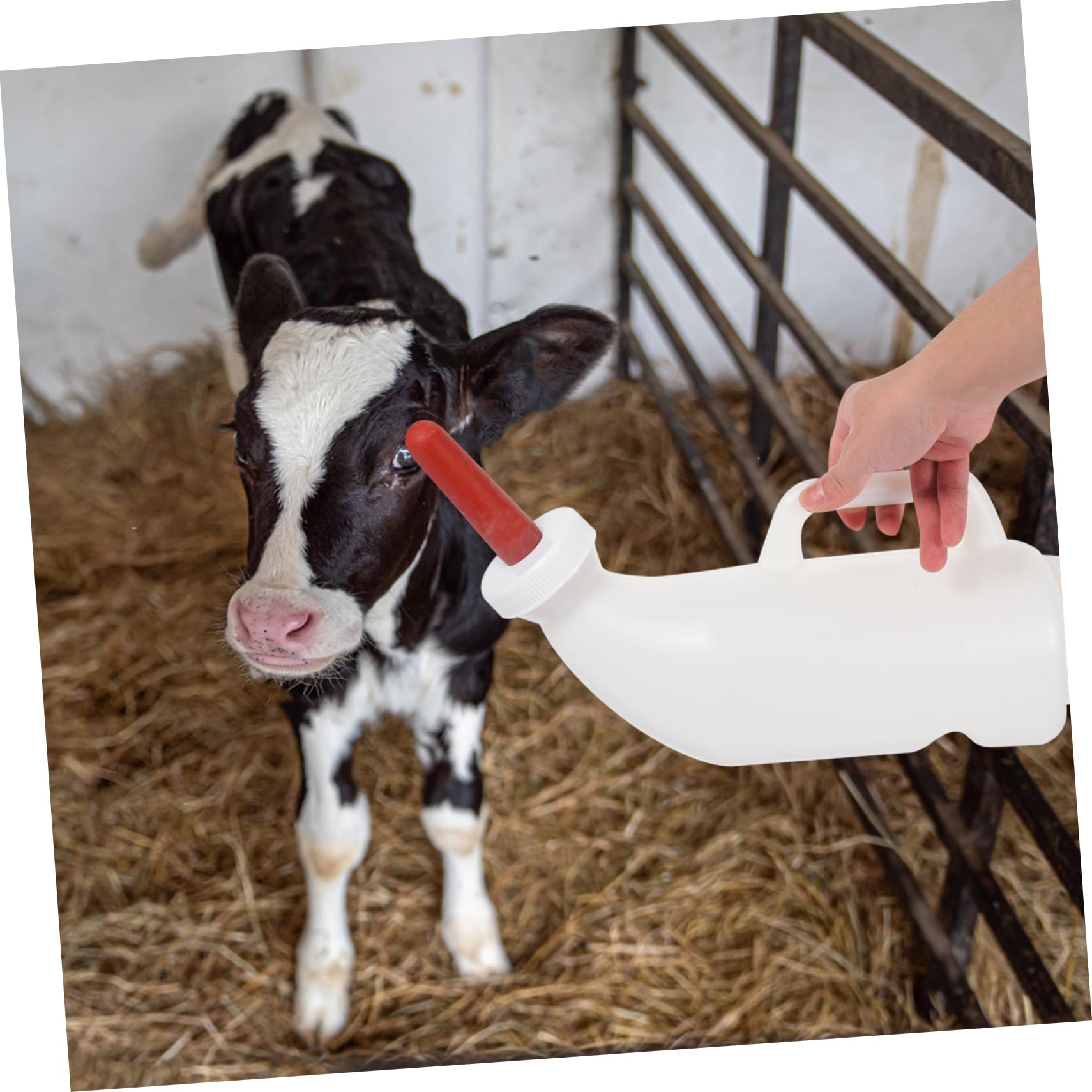 Kisangel 2juegos Biberón De Alimentación Para Terneros Corderos y Cabras Con Diseño Ergonómico y Capacidad Para Granjas y Cuidado De Animales Jóvenes