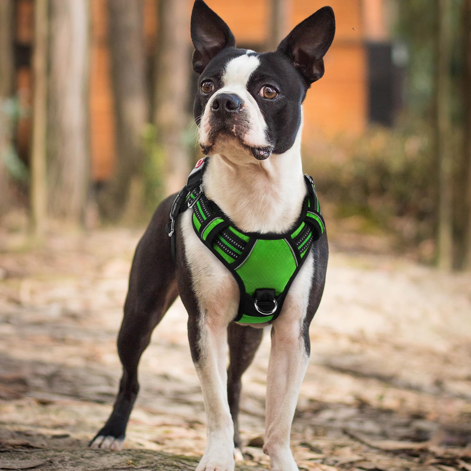 rabbitgoo Harnais pour chien de petite taille, anti-traction avec 3 boucles, harnais rembourré doux réglable avec poignée de contrôle facile et bandes réfléchissantes, vert, taille S