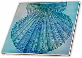 Amazon.com: 3dRose ct_79342_1 Large Aqua Shell Beach Theme