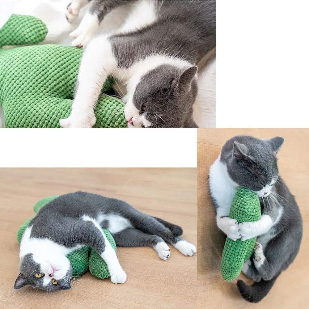 Pet Cat Dog Toy, Cat Cactus Kicker Cat Catnip Leap Dog Chew Toy Plush Cat Scratch for Kitten Puppy