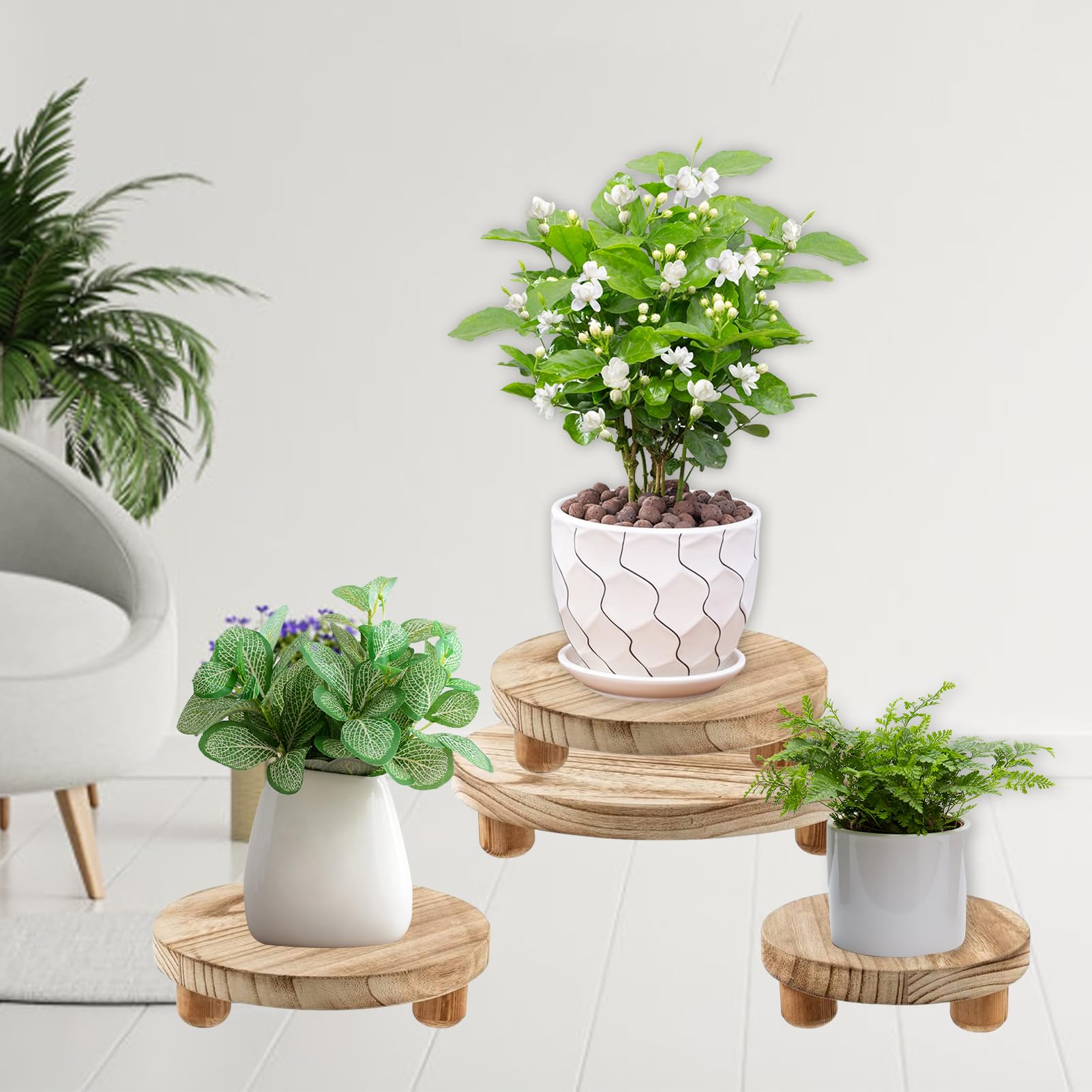 Tefola Lot de 3 Supports Ronds en Bois pour Plantes, 3 Tailles, Pot de Fleurs, Petit Support de présentation, Support décoratif pour Plantes d'intérieur, Cuisine, terrasse