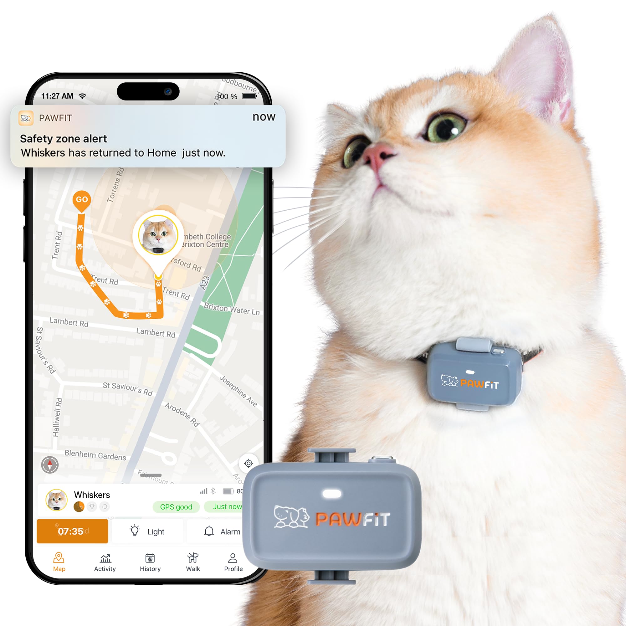 Pawfit Lite for Cats 4G GPS Tracker | World’s Smallest (<18g) | Real-Time Tracking | Activity Monitoring | Territory and Location History | Unlimited Range | Safety Collar Included | Lilac grey