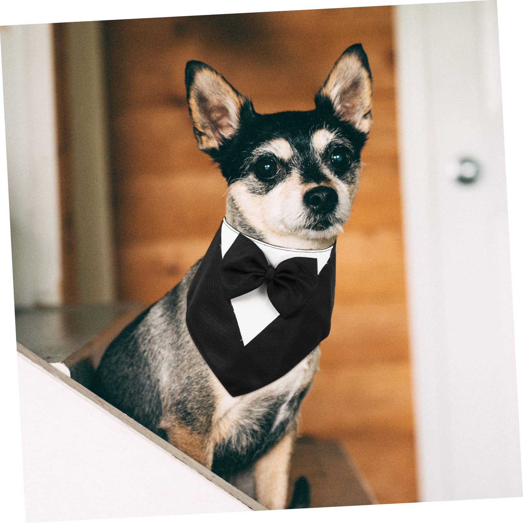 POPETPOP 3stücke Puppy Suit Hundebandana Mit Verstellbarem Halsband Und Fliege Für Haustiergeburtstagsfeiern Hochzeiten Und Besondere Anlässe