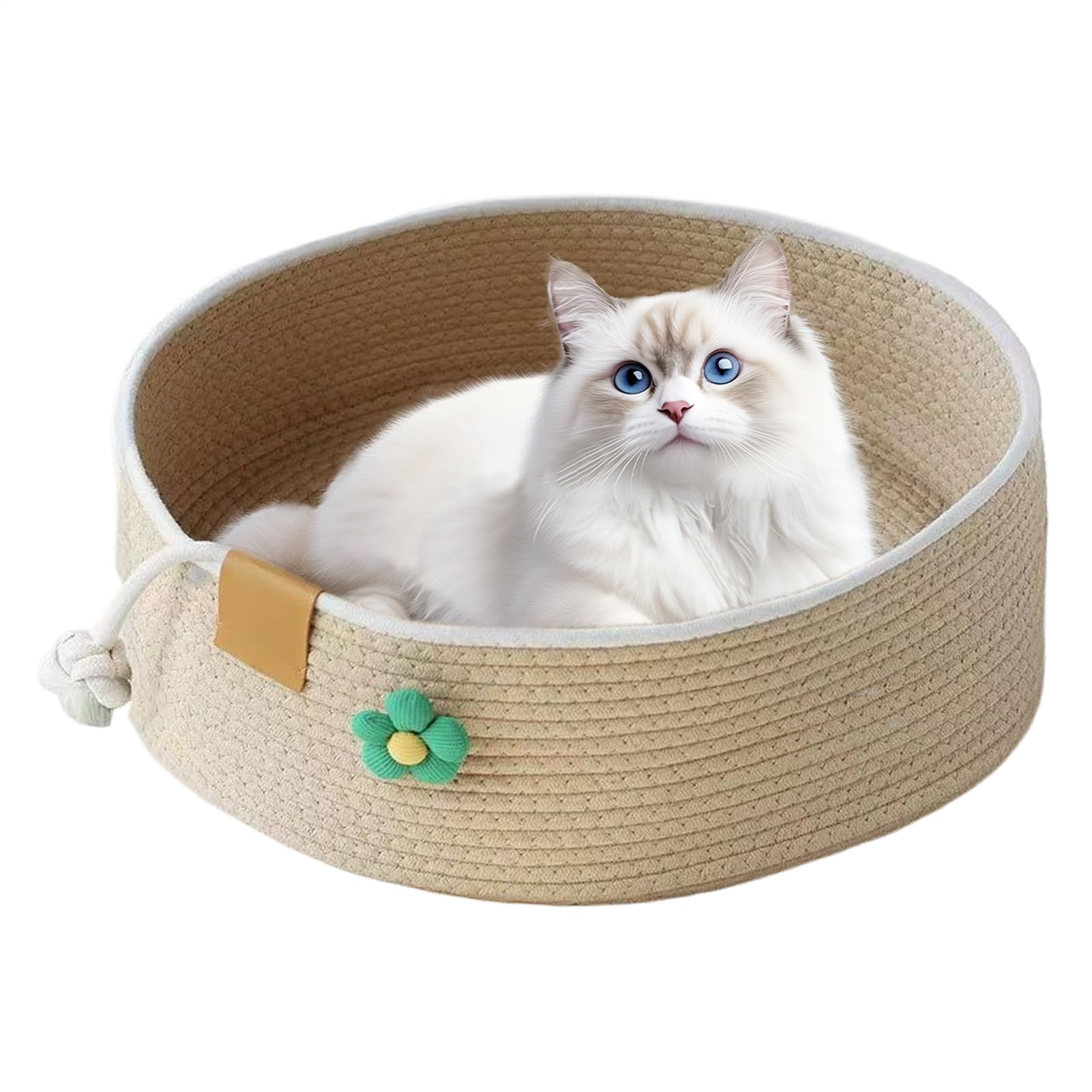 Rond d'intérieur pour petits chats et tapis à griffer de sol pour jeu d'intérieur
