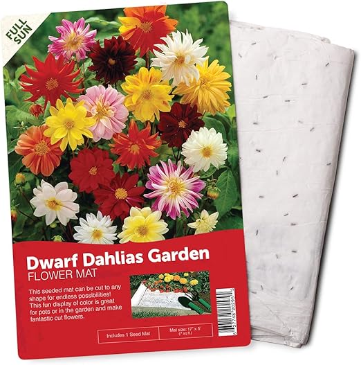 BloomingBulb Seed Mat Easy to Plant and Grow Garden
