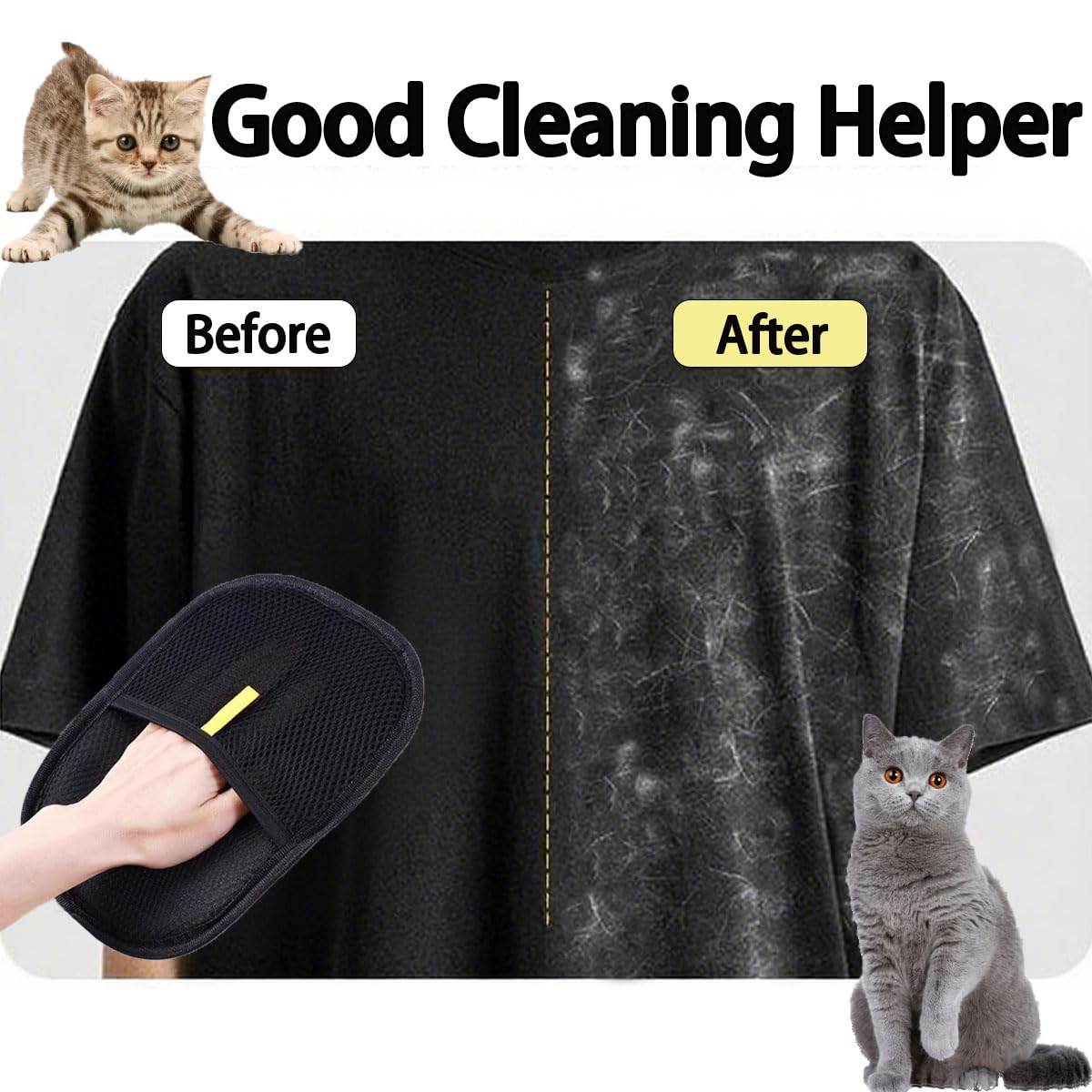 Salon De Toilettage Pour Chats | Maison De Bonpoils