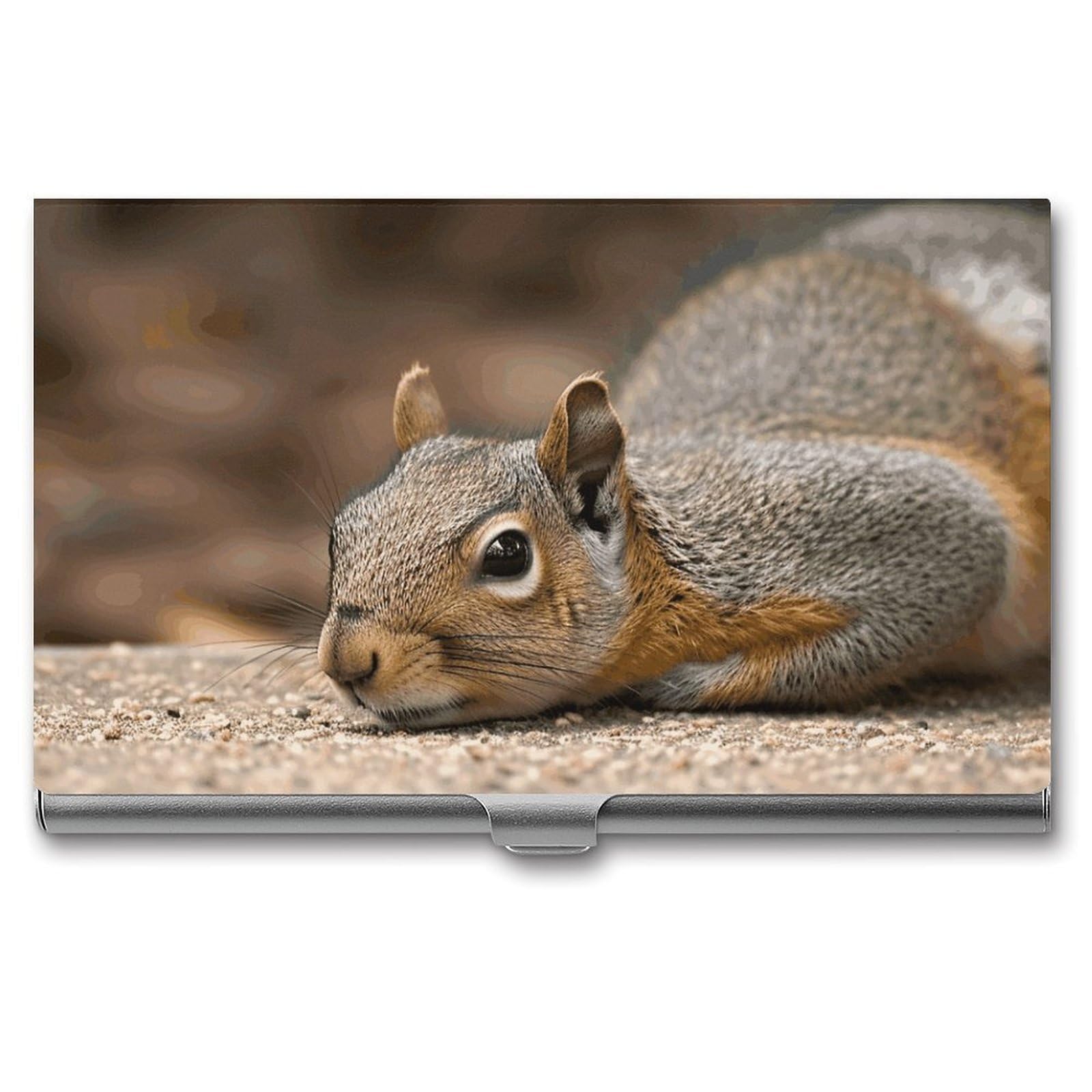 BTCOWZRV Squirrel Just Laying Business Card Holder Metal Slim Business Card Case, Pocket Card Holder for Men Women Purse Name Card Holder Stainless Steel Wallet Credit ID Case for Office