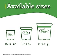 Vista 11 de Bonnie Plants Planta aromática comestible de hierbas aromáticas de romero vivo, paquete de 4, perenne en las zonas 8 a 10, ideal para cocinar y asar