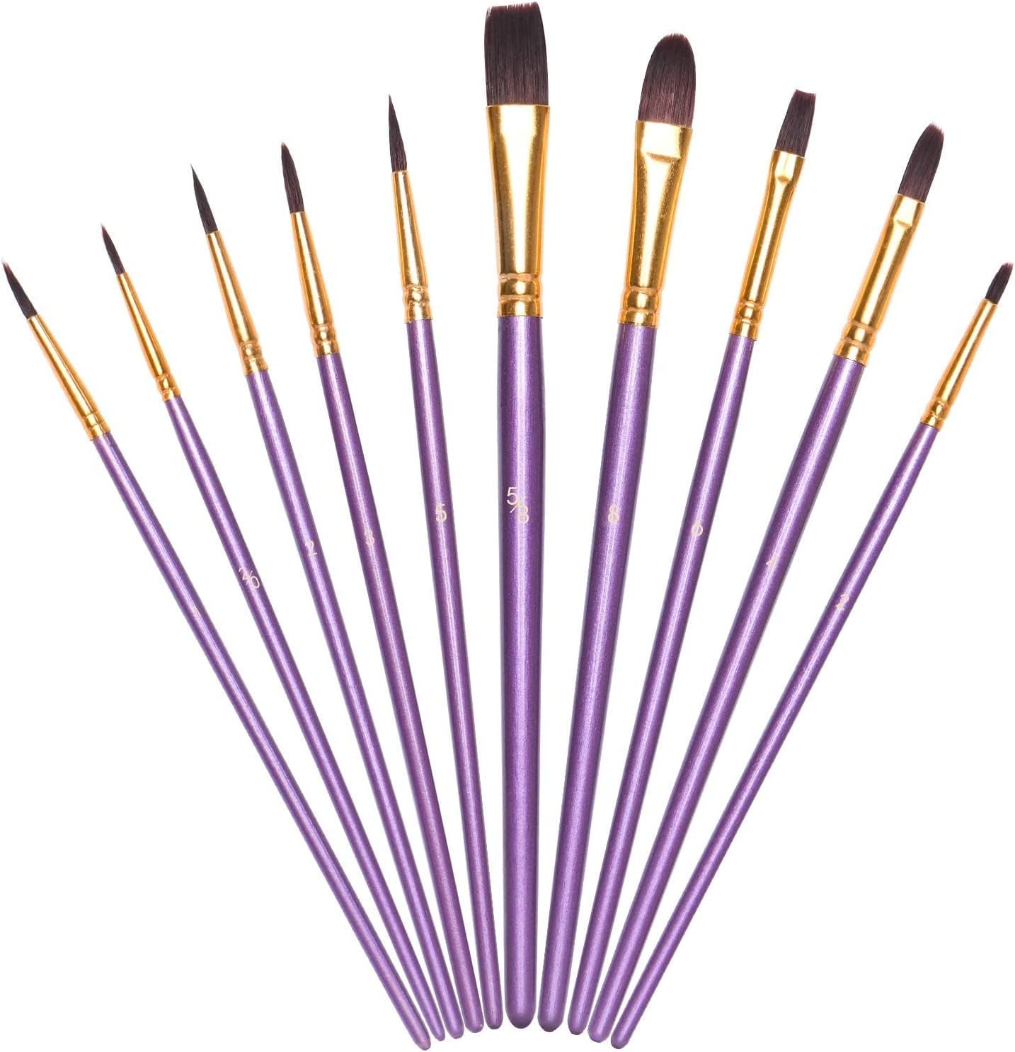 Vicloon Purple-10Pcs 10Pcs Paint Brushes, Professional Painting Brushes Set Nylon Hair Artist Paint Brushes For Acrylic Oil Watercolor Gouache Face Painting
