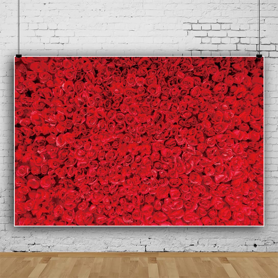 6.1x3 m rote Rose Fotografie Hintergrund rote Rose Blume Wandhintergrund Rose Blumen Hochzeit Brautdusche Geburtstag Party Dekoration Hintergrund Banner Valentinstag Muttertag Foto Hintergründe