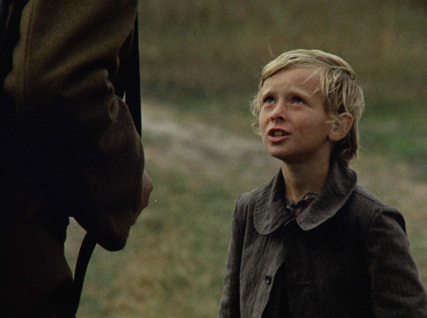 Amazon だれのものでもないチェレ Dvd 映画