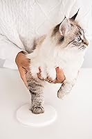 Vista 10 de Fotografía de recuerdo Pearhead con la huella de tu perro o gato , Espresso