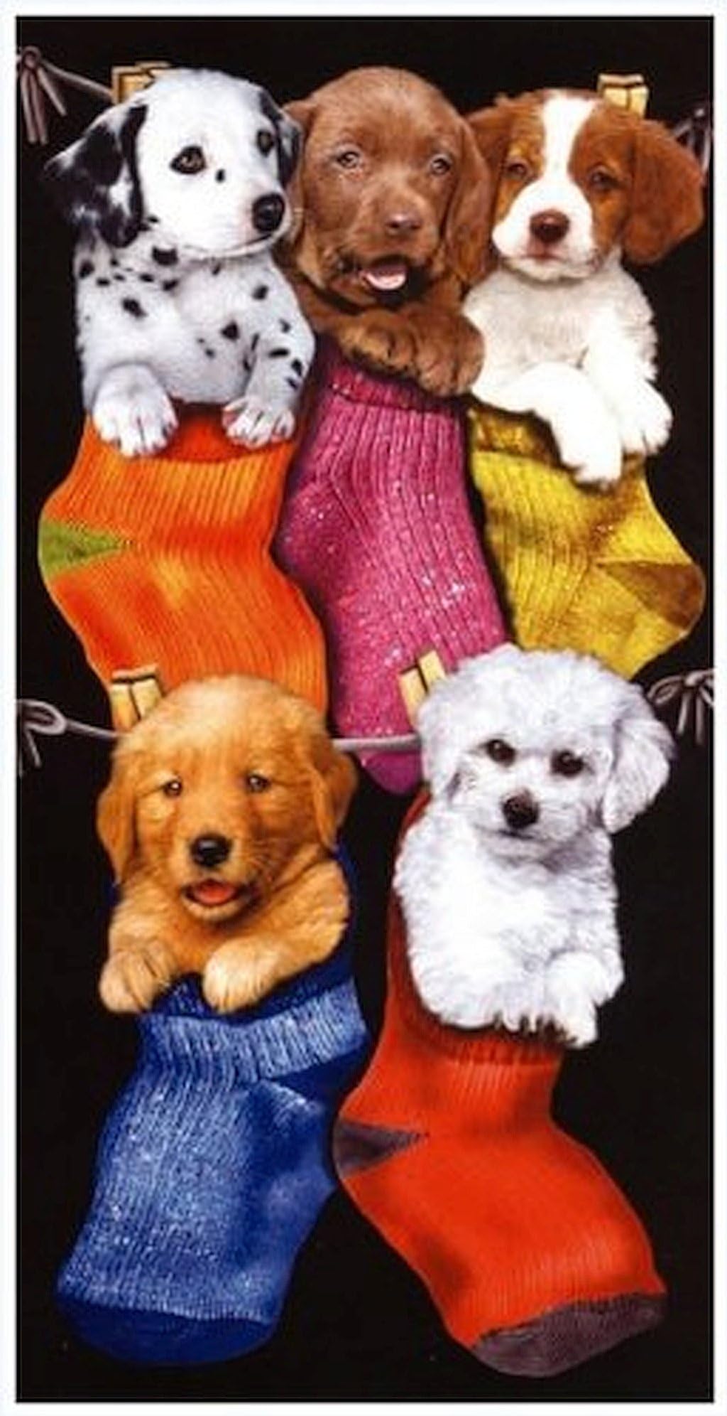'Bath Towel, Beach Towel, Hand Towel – "Dogs in Socks – Dogs in Socks – XXL 170 x 90 cm – 100% Cotton – Made in America – 460 g