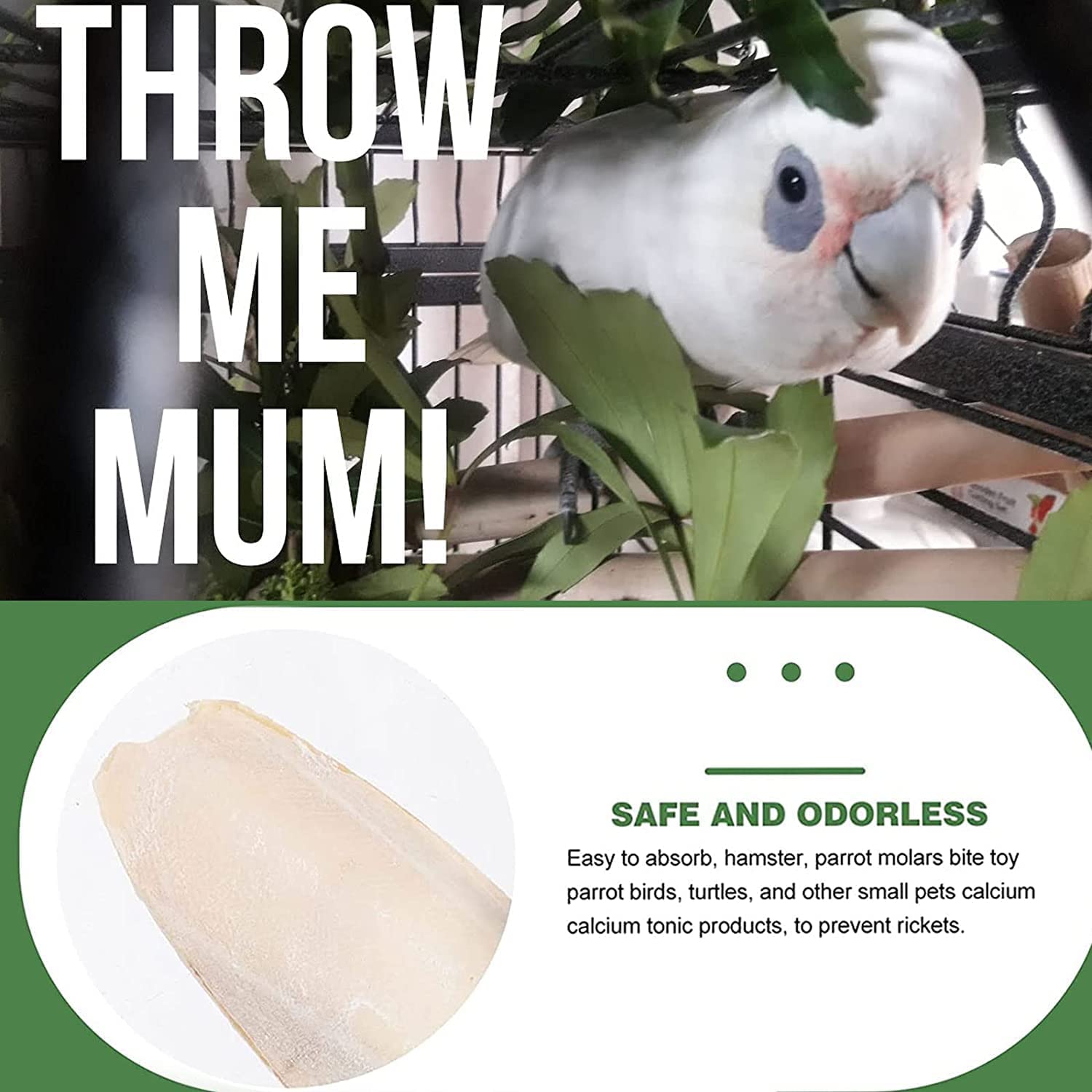Newsmy 4 Pack Cuttlefish Bone for Birds, Natural Cuttlebone for Parrots and Budgies, Calcium Chew for Beak Care, Suitable for Snails and Tortoise [4Pcs 15CM] — view 4