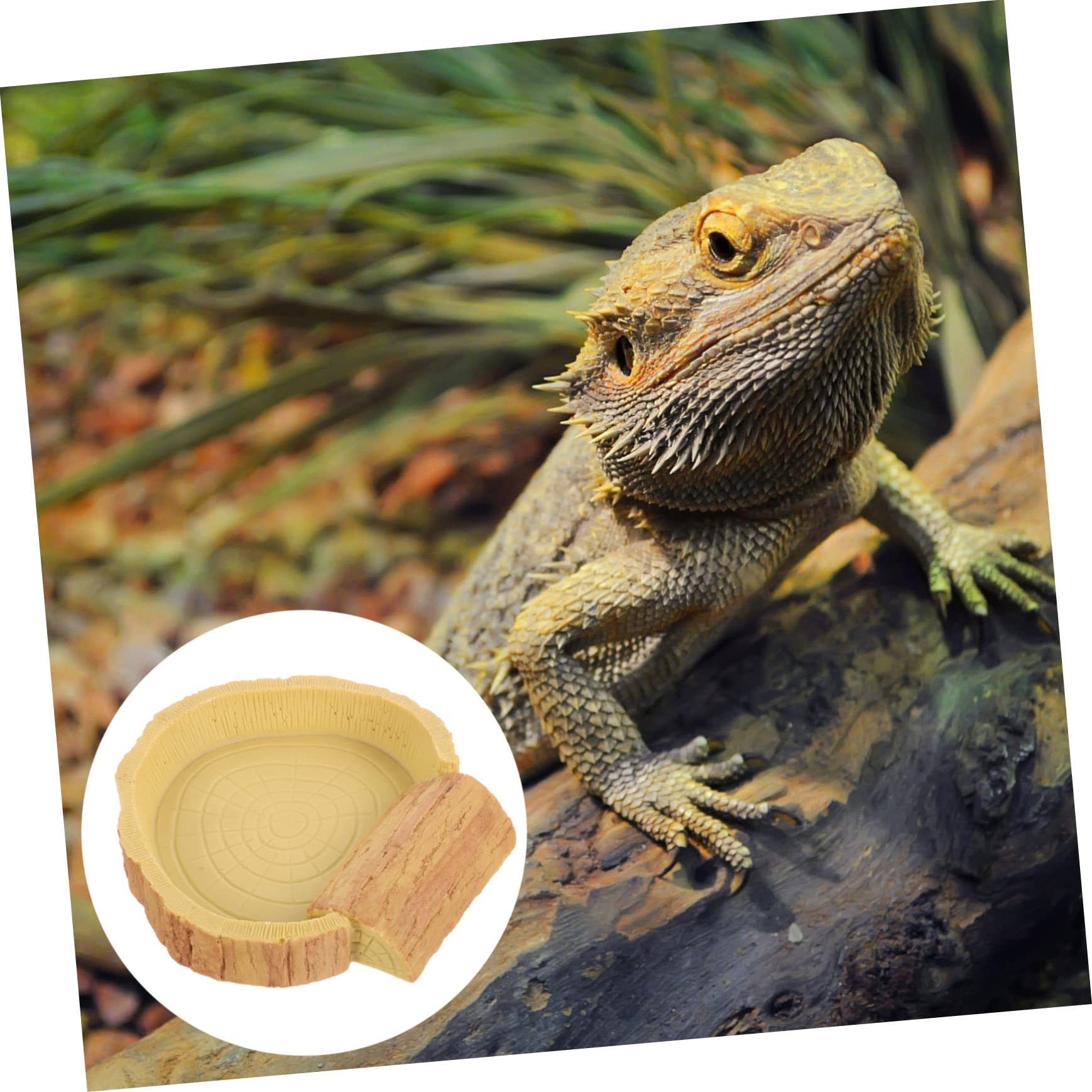 Hemobllo Ciotola Mangiatoia per Rettili in Resina Arancia per Terrario | Adatta a Cibo e Acqua, Facile da Pulire, Facile da Spostare, Struttura Sicura per Uso Quotidiano