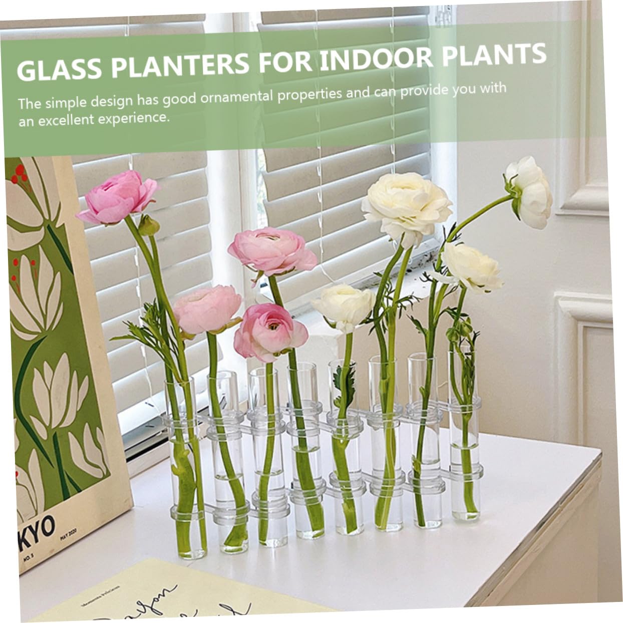 Vase Verre Transparent pour Propagation Hydroponique Grand Format avec Support Robuste Contenant Décoratif pour Plantes Intérieur et Terrarium de Bureau Brosse de Nettoyage