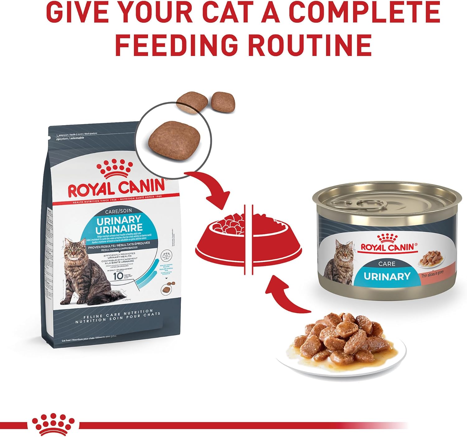 Royal Canin Feline Care Nutrition Urinary Care Adult Thin Slices in Gravy Cat Food, 5.1oz (Pack of 24)