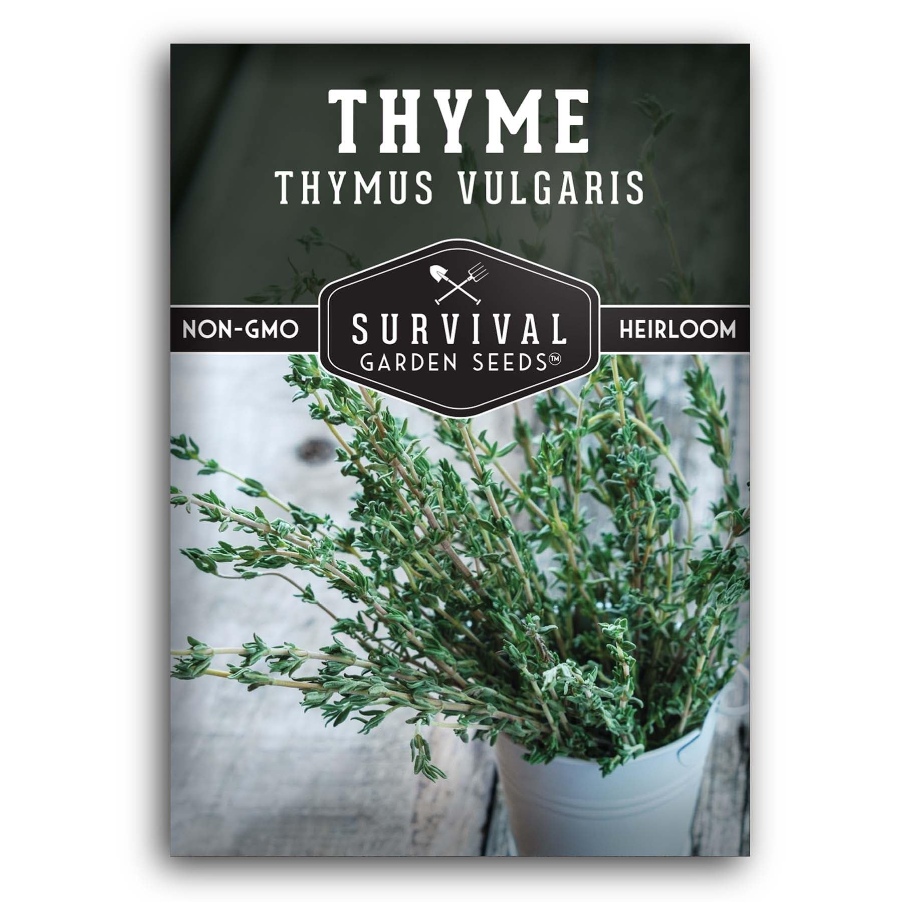 Thyme Seeds for Planting Indoors or Outdoors – English Thyme Seeds (Thymus Vulgaris) for Home Herb Gardens, Pots, and Kitchen Windowsills – Heirloom, Non-GMO – Survival Garden Seeds (1 Pack)