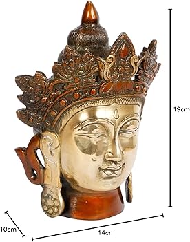 71XzEXxiKzL._AC_UF350,